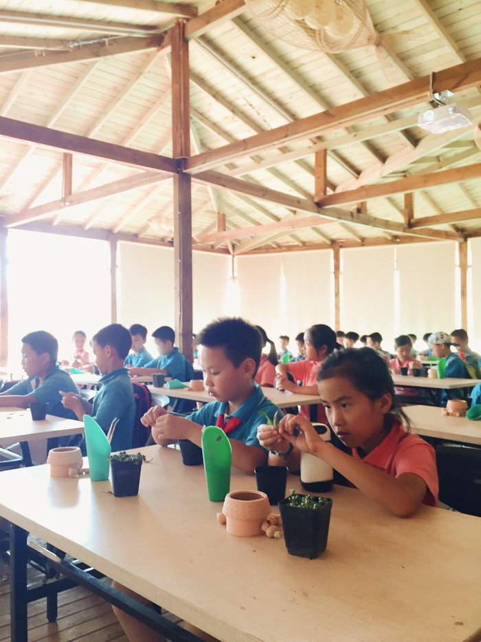 都市农耕乐园，亲子文化课堂 成都银泰城商顶梦田农场体验记